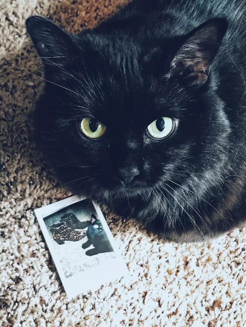 A Friday The 13th Open Letter: Don’t Be Afraid Of Black Cats