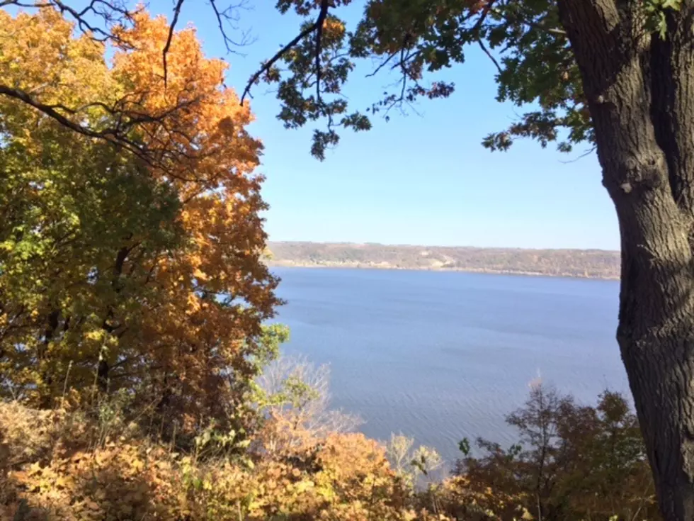 Why There are Fewer Bugs at State Parks