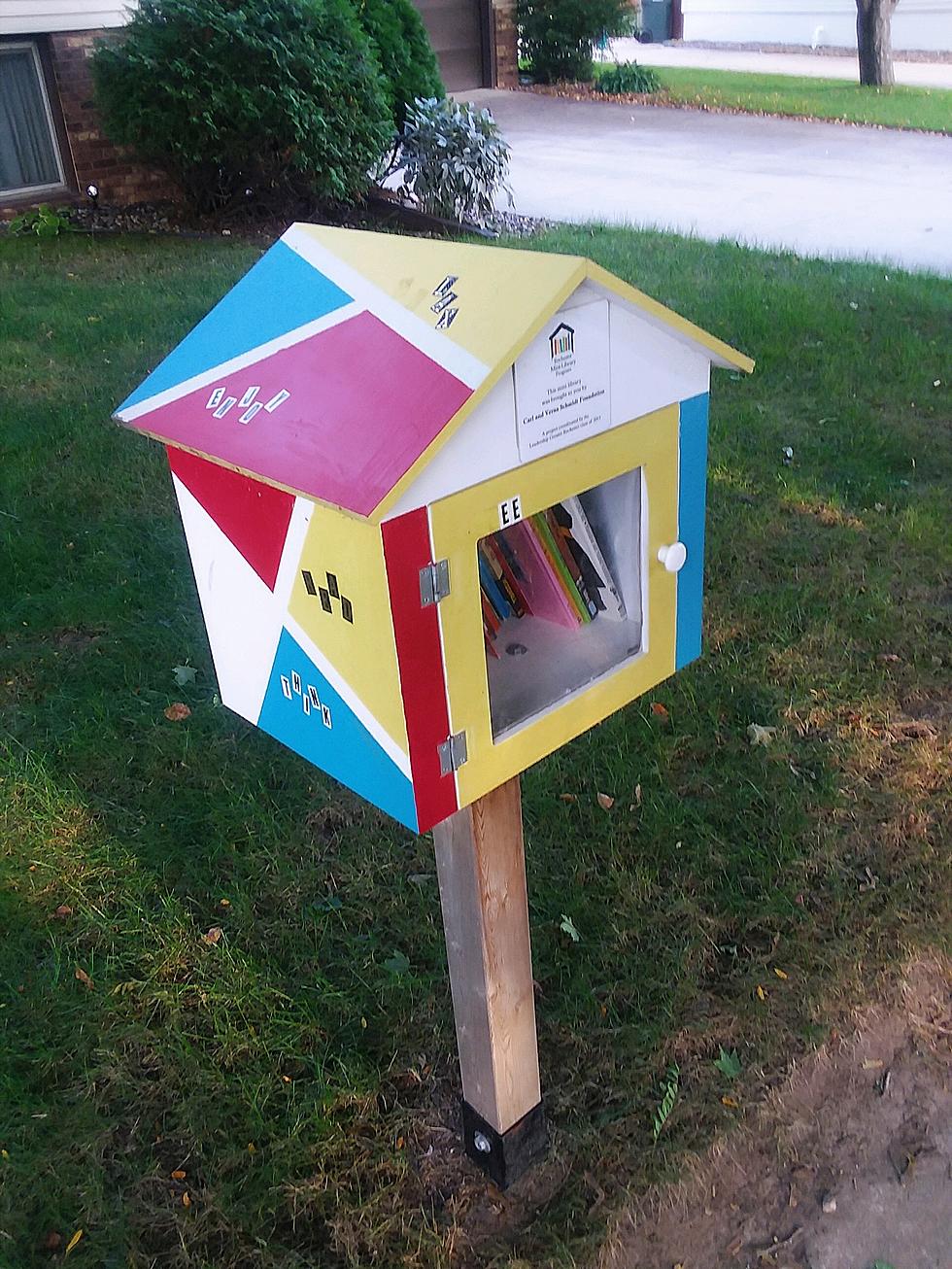 This Rochester Neighborhood Has 3 &#8216;Mini-Libraries&#8217;