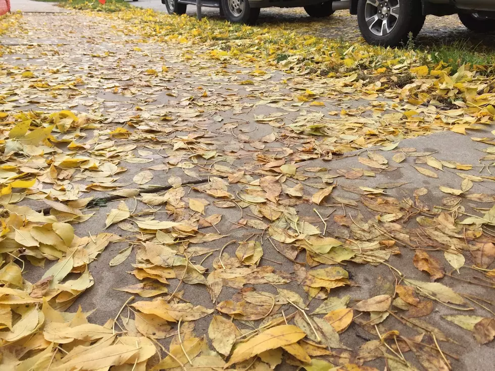 Barefoot Minnesota Runner Upset With Neighbors Not Cleaning Sidewalk