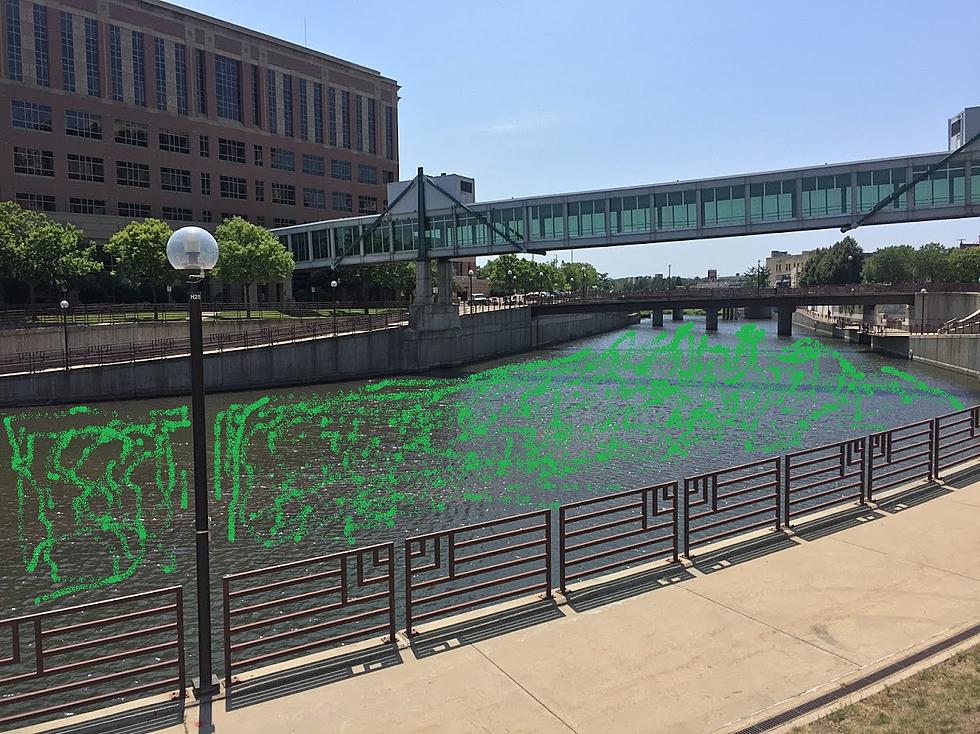 Here’s How to Make St. Patrick’s Day in Rochester the Most Festive Ever