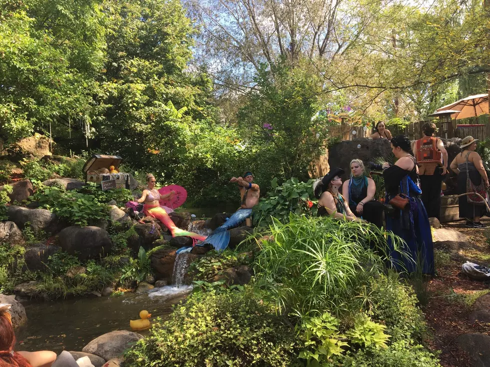 Life As a Mermaid at the Minnesota Renaissance Festival