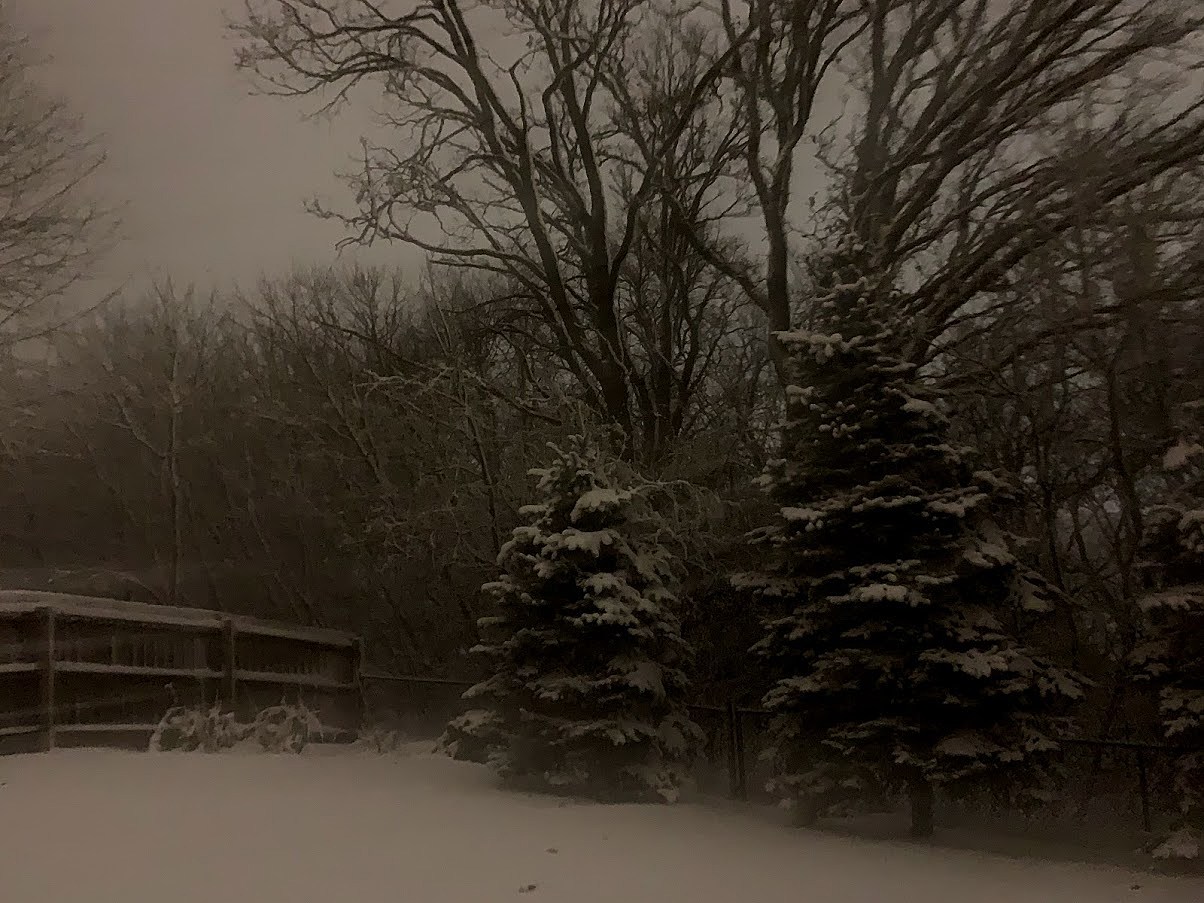 Weather Whys: Why is it so bright at night after a snow event?