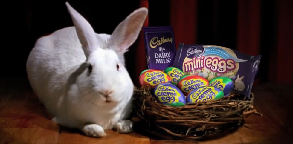 A Minnesota Pet Could Be In the Cadbury Egg Commercial this Easter
