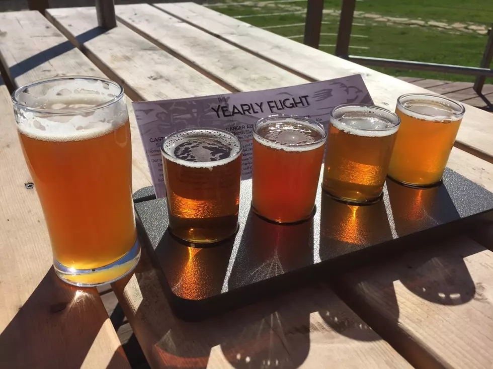10 Amazing Minnesota Craft Beers to Try for National Drink Beer Day