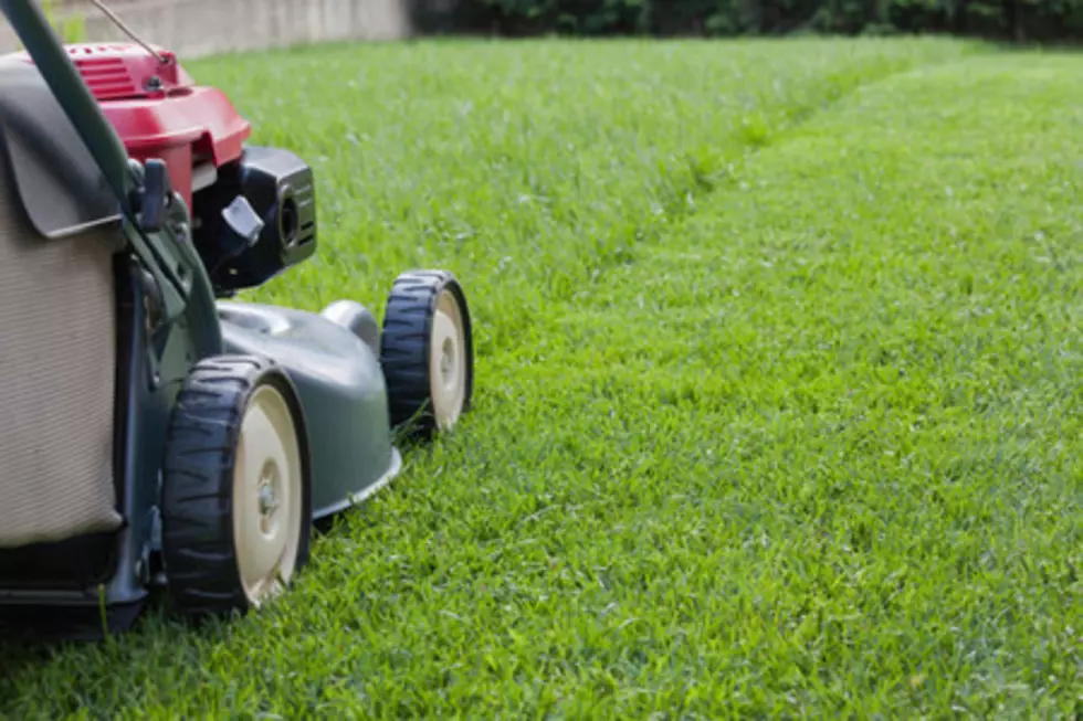 Does Minnesota &#8216;Mow the Lawn&#8217; or &#8216;Cut the Grass&#8217;?