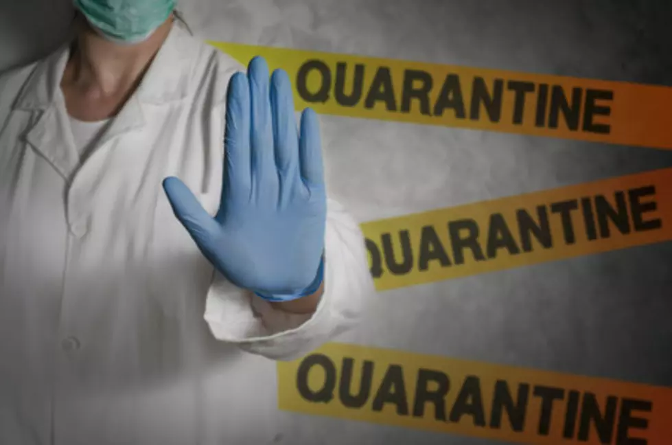 What Is Minnesota&#8217;s Favorite Quarantine Activity?