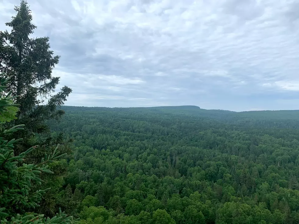 Six Minnesota State Parks With Fewer Bugs This Summer