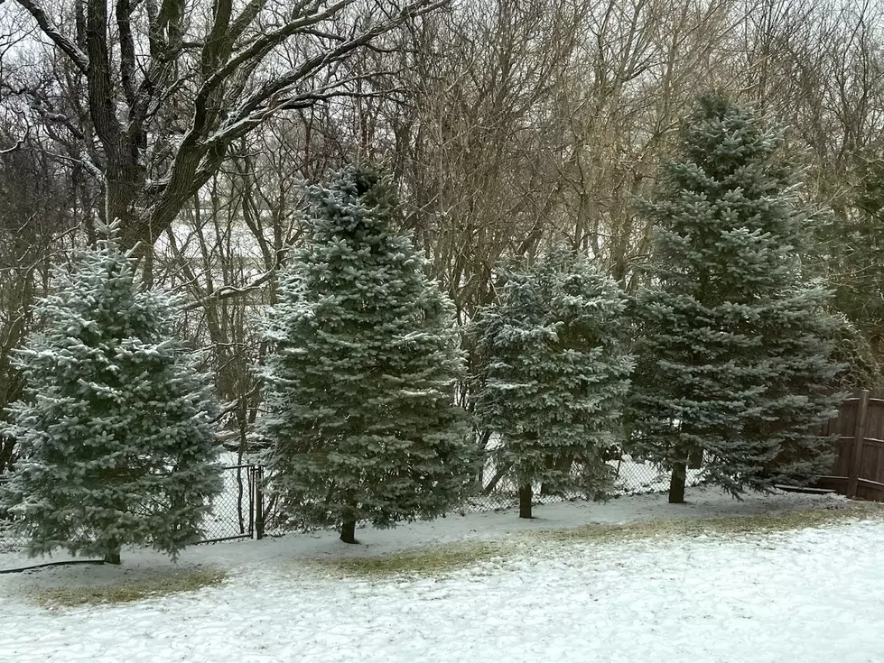 Frost in May? Hey, Minnesota Has Had Snow in June