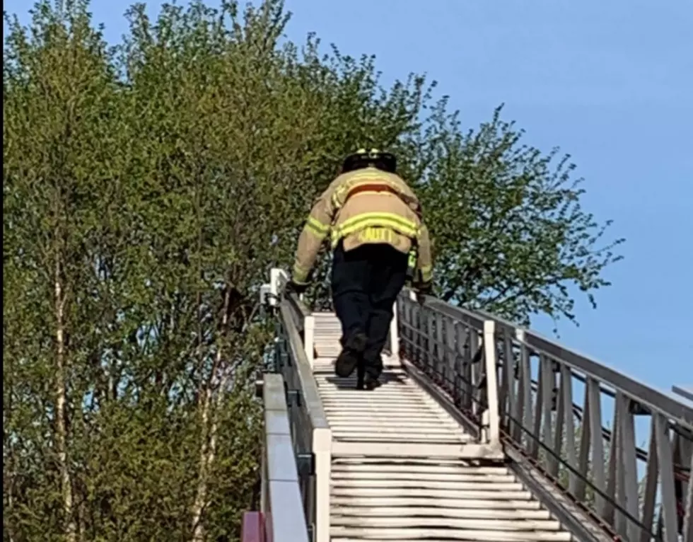 Rochester Fire Department Takes Part in Mother’s Day Cat Rescue