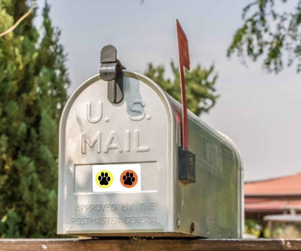 Why Your Mailbox Could Have Yellow or Orange Sticker On It in MN