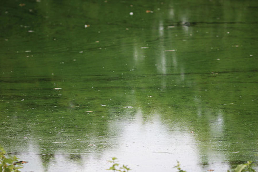 This River in Minnesota is Emitting an Awful Smell Right Now