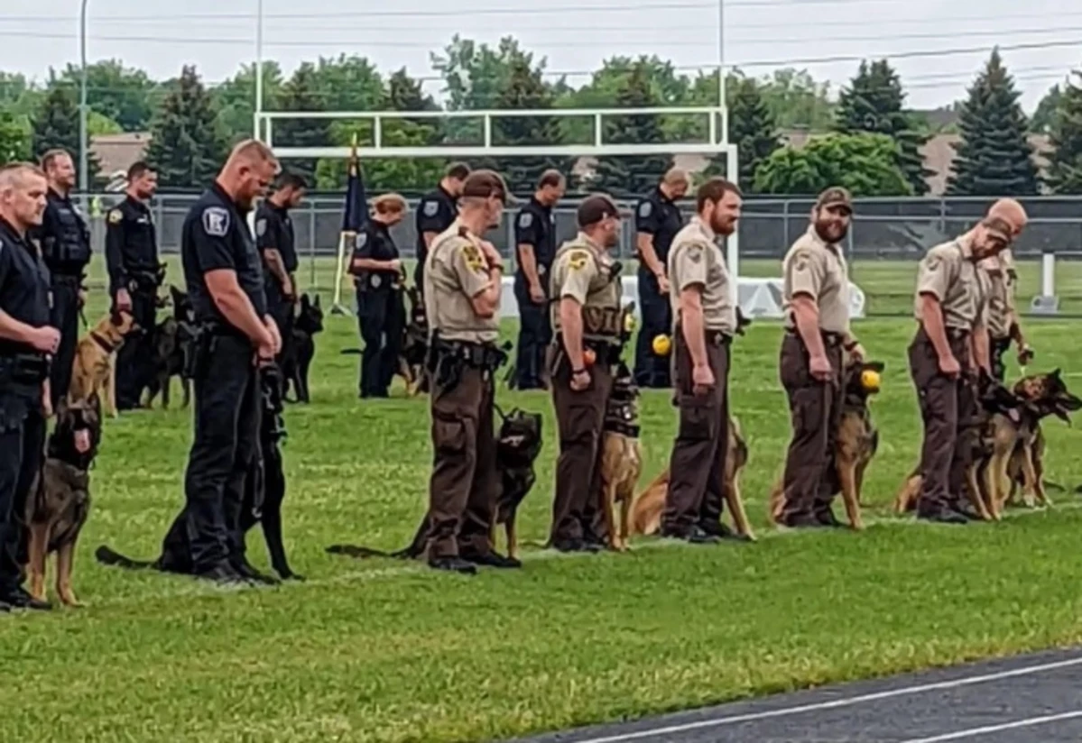 Olmsted County Sheriff's Office welcomes new K9 - ABC 6 News 