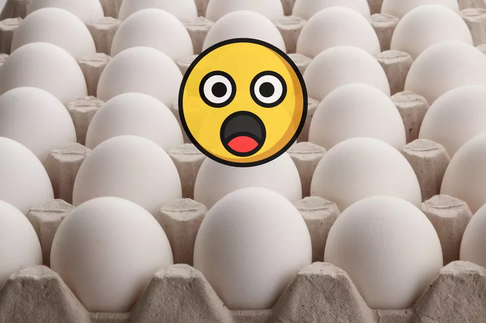 The Truth Behind Why Eggs Cost More Than Gasoline in Minnesota Right Now