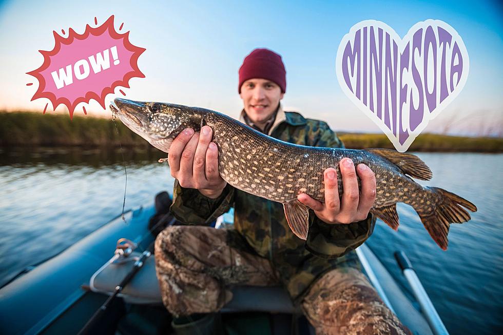 Amazing Angler On Quest to Catch Every Fish in Minnesota