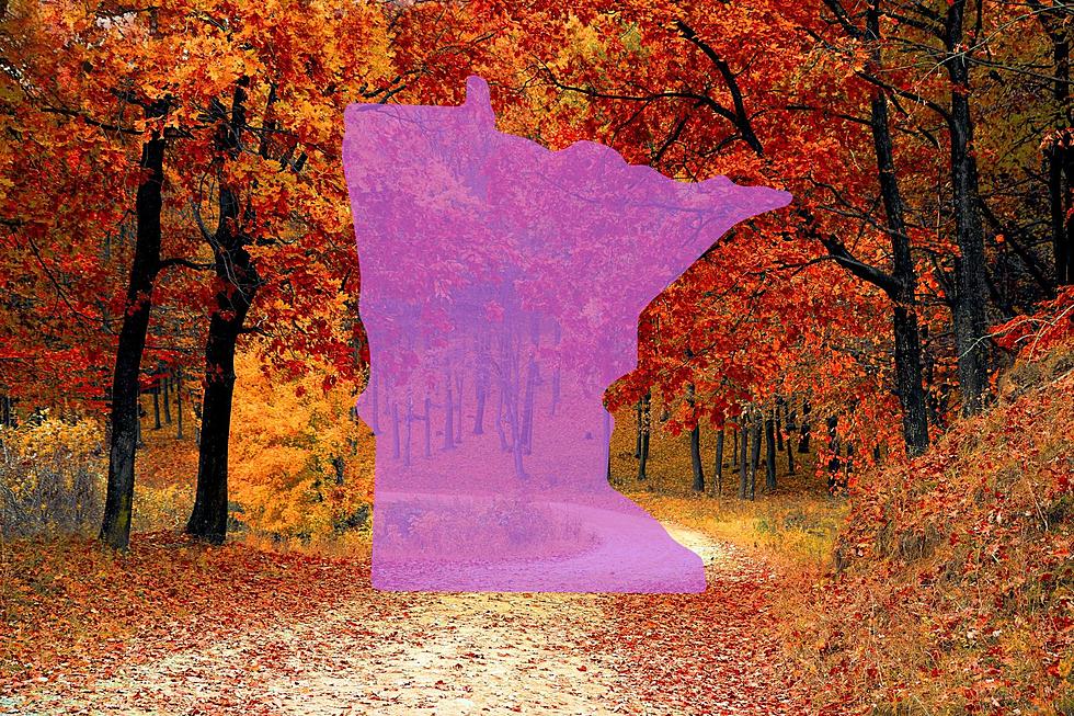 Minnesota Just Named One of 'Best States to Visit' During Fall