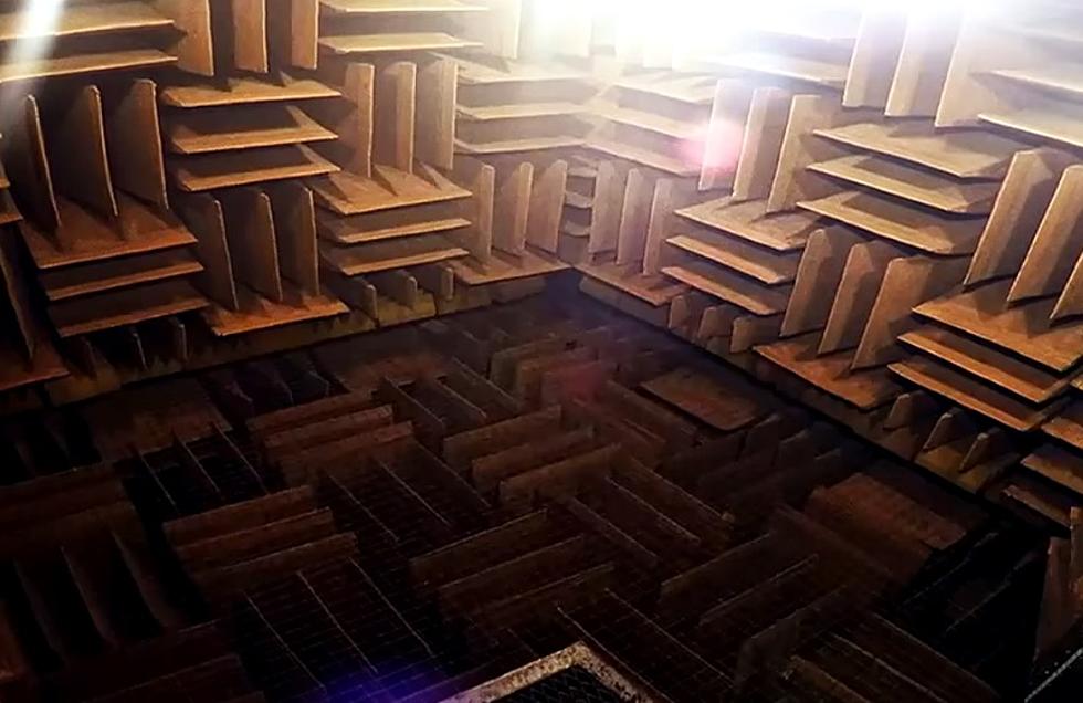 This Strange Room in Minnesota Is The Quietest Place on Earth