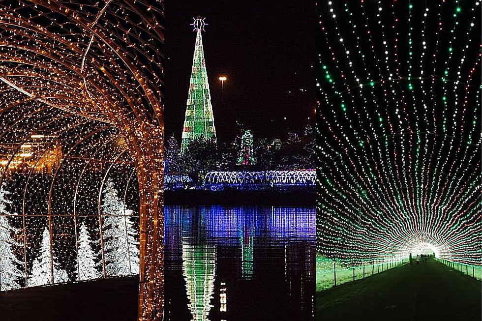 The Ultimate Guide to Minnesota's Christmas Lights