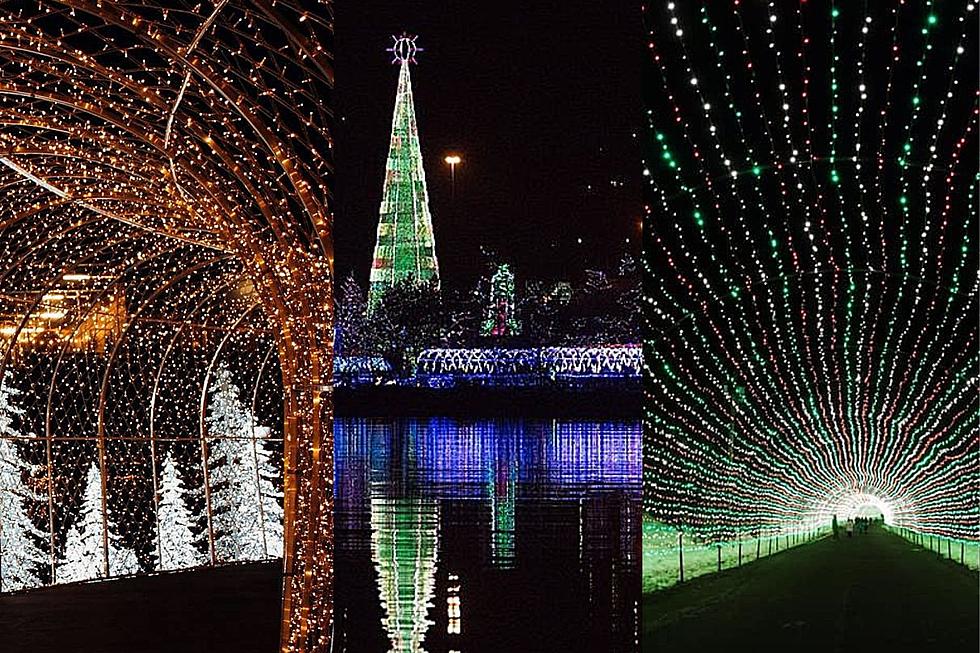 The Ultimate Guide to Minnesota’s Christmas Lights