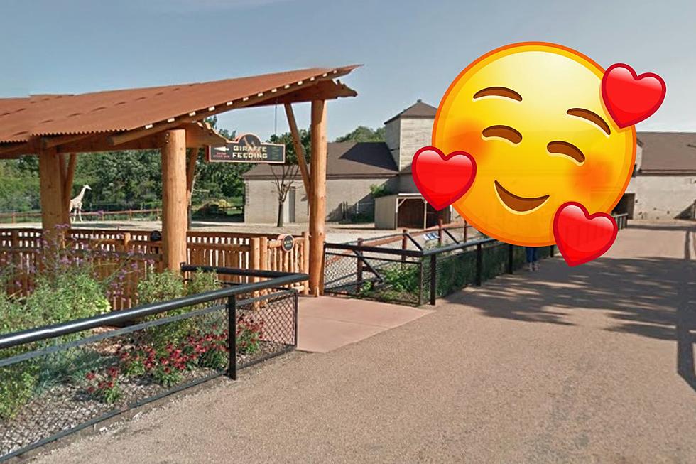 Minnesota’s Como Zoo Just Made an Adorable Addition