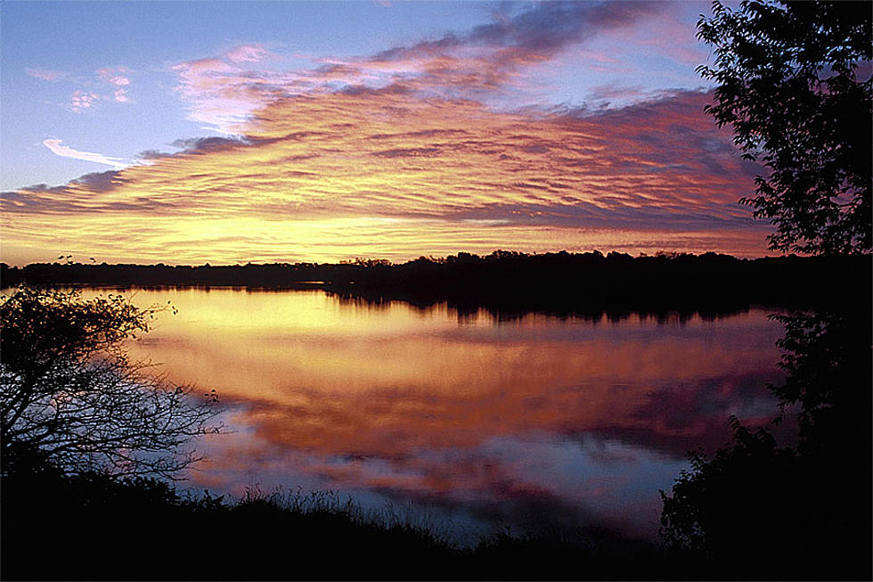 Free Access to Minnesota State Parks for 24 Hours
