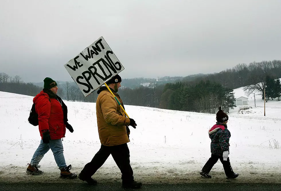 Groundhog Fans Gather In Punxsutawney For Winter Prediction