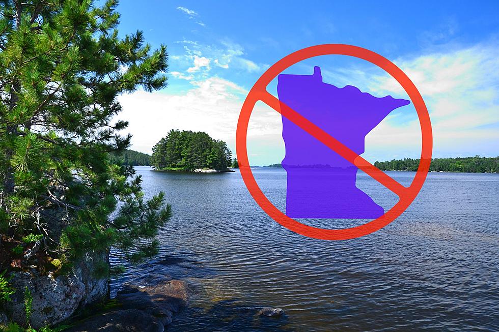 The DNR Just Outlawed These 11 Animals In Minnesota