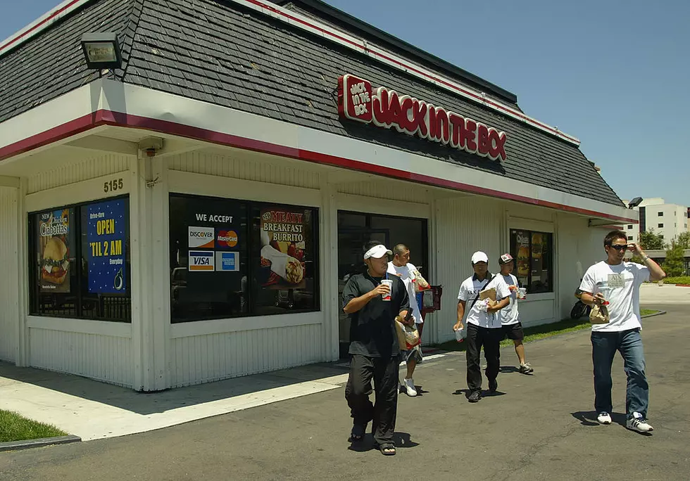 Japan Samurai Bears Play Baseball In America