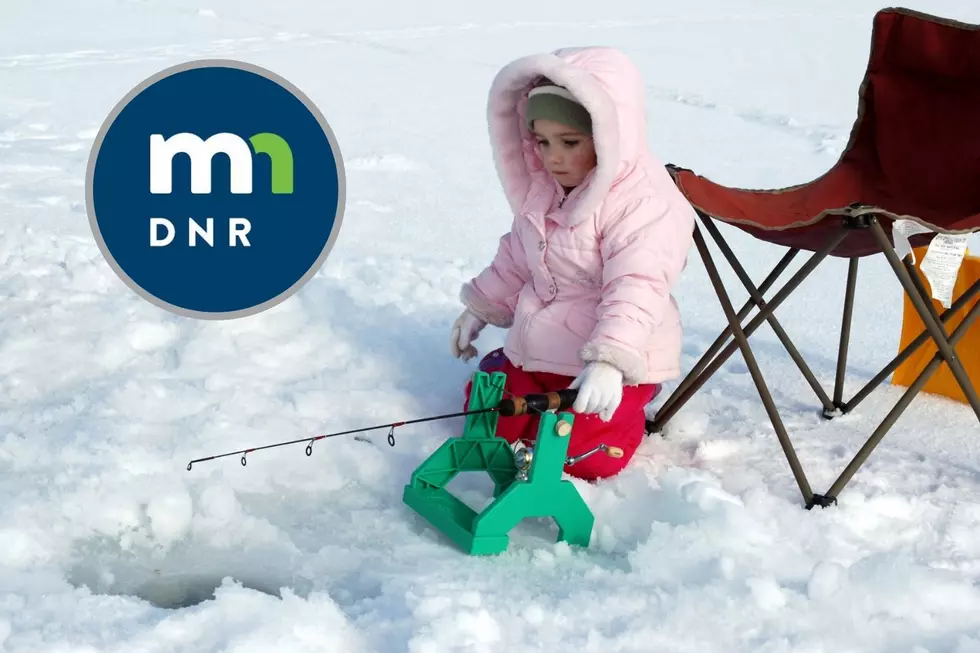MN DNR/Canva