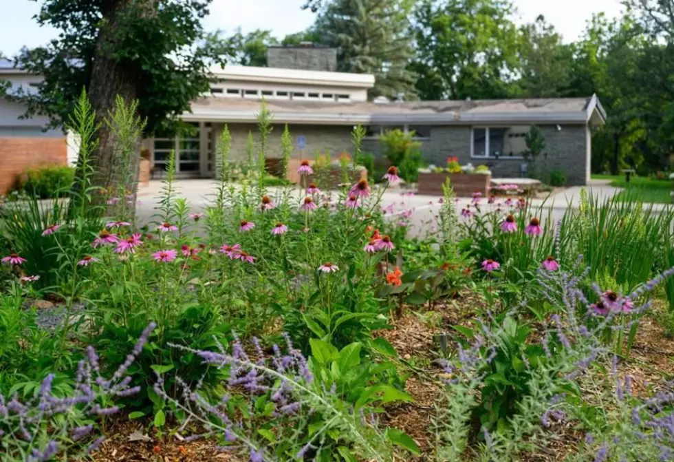 Inside the One-of-a-Kind $2-Million Masterpiece in Rochester, MN