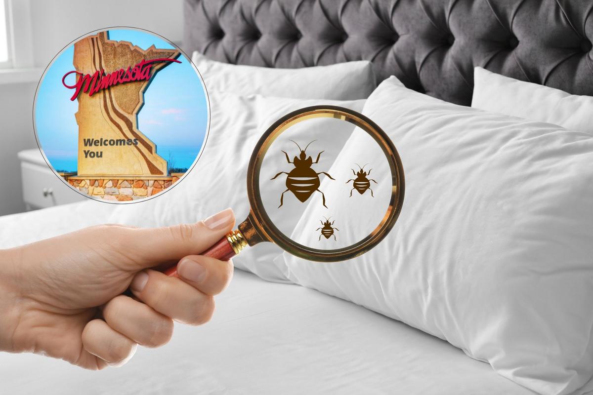 Minnesota City Ranked Among America’s Worst for Bed Bugs