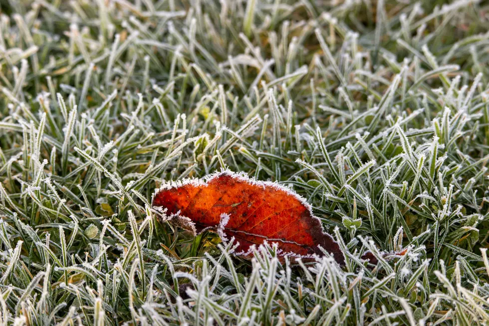 Here&CloseCurlyQuote;s When Minnesota&CloseCurlyQuote;s First Frost Is Expected in 2026