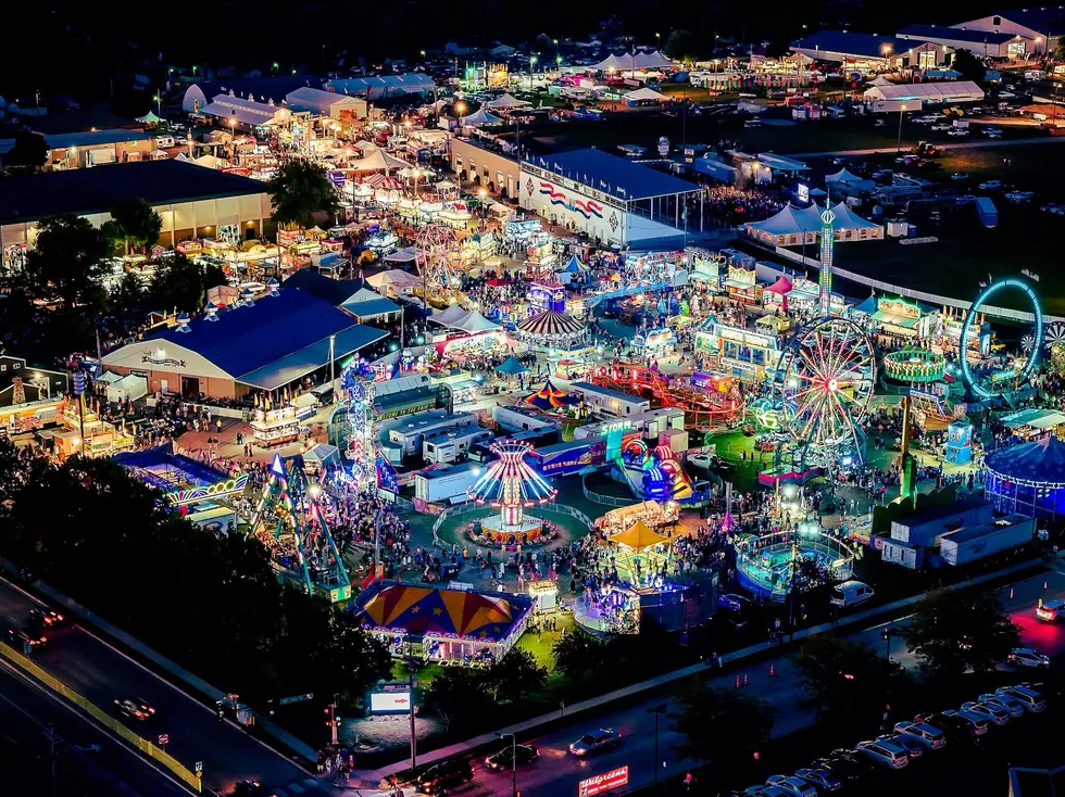Must Try New Food Vendors At 2026 Steele County Free Fair
