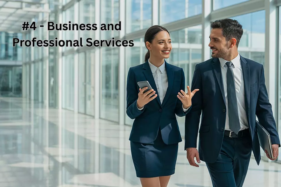#4 - Business and Professional Services - 1