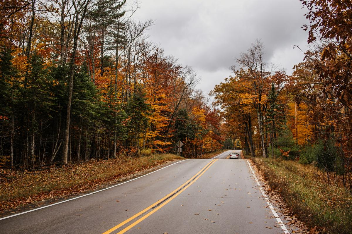 Minnesota's Most Dangerous Roads During Peak Fall Travel Season
