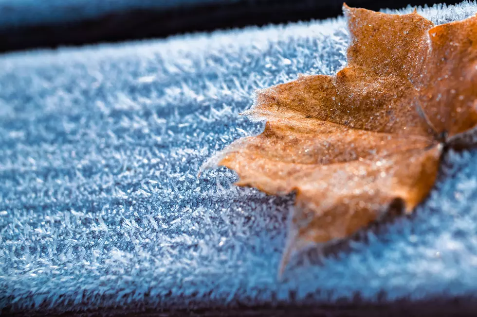 How Soon Will Minnesota See Its First Frost?