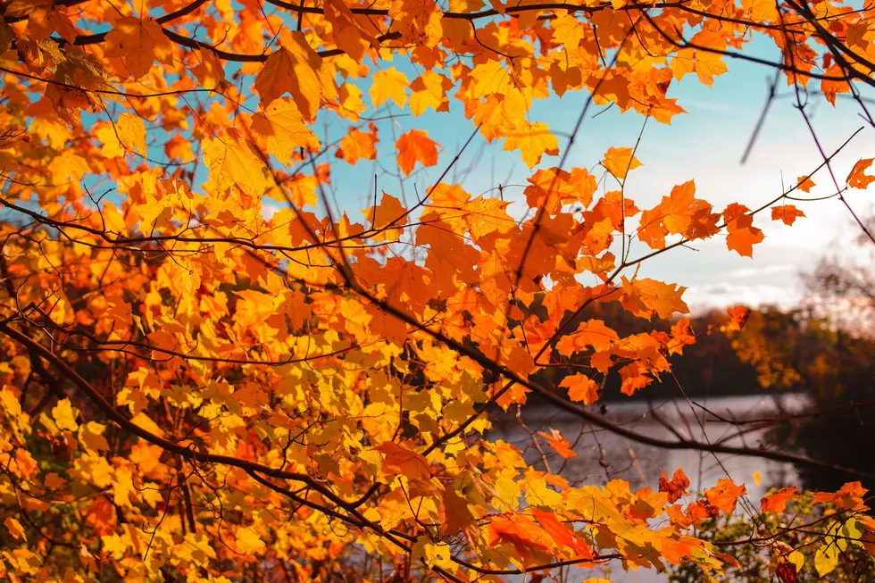 Why Minnesota’s Fall Colors Could Arrive Earlier This Year