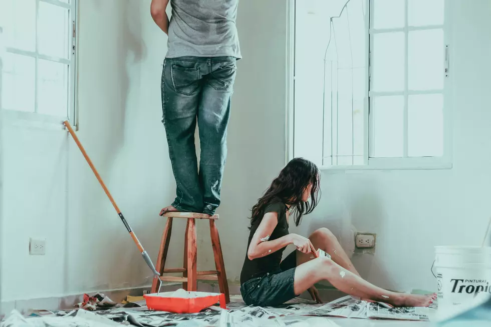 Survey Reveals the No. 1 Home Repair in Minnesota