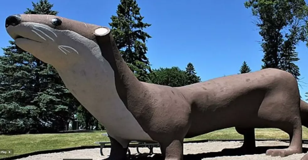 Can This Minnesota Otter Beat a Team of Indiana Hot Dogs?