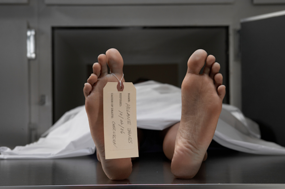 Scientists Say the Human Brain Lives on After Death