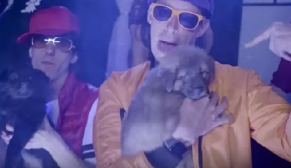 Puppies In The Club (music video)