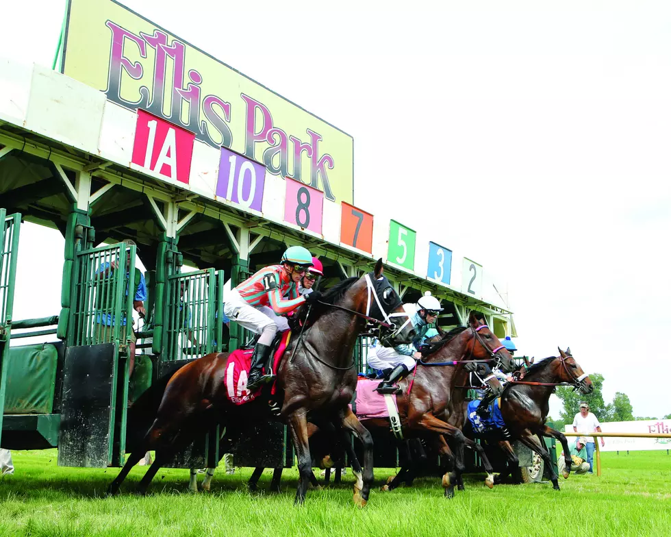 Get An Up-Close Look at Preparing Horses at Ellis Park