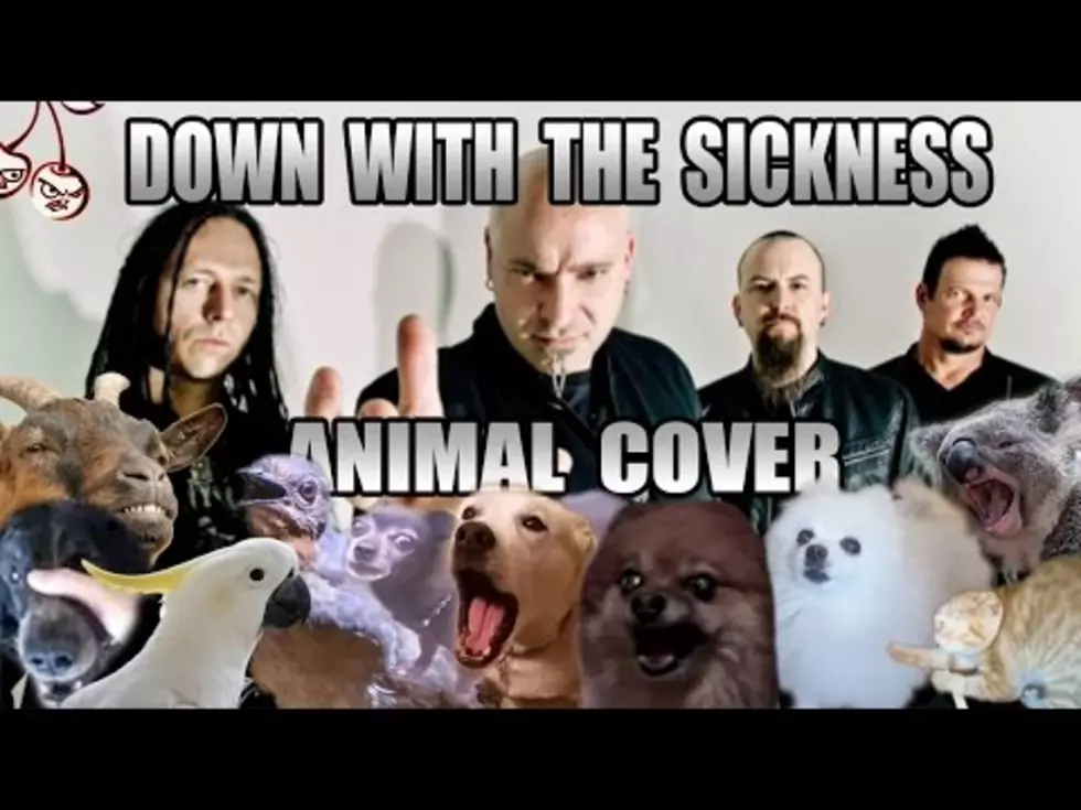Covers of Your Favorite Songs, Using Only Animal Sound