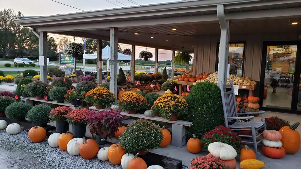 Owensboro’s Trunnell’s Farm Hosting Adult Only Night Fall Fest