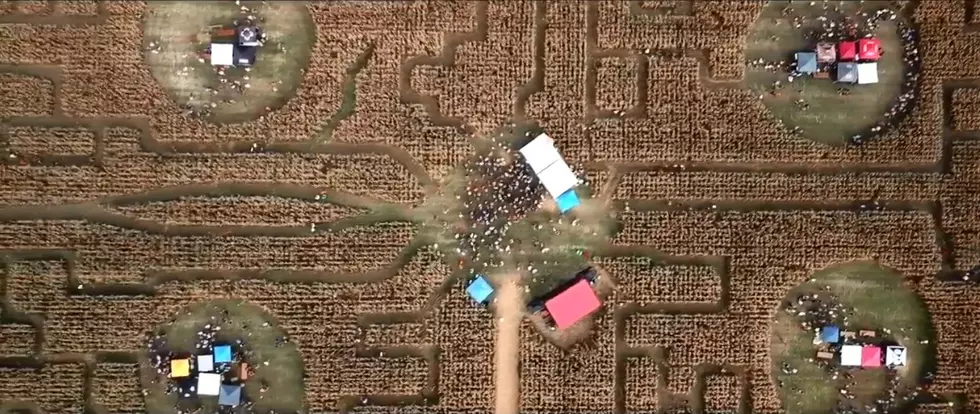 Did You Know There&#8217;s a Beer Festival Inside of a Corn Maze in Indiana?