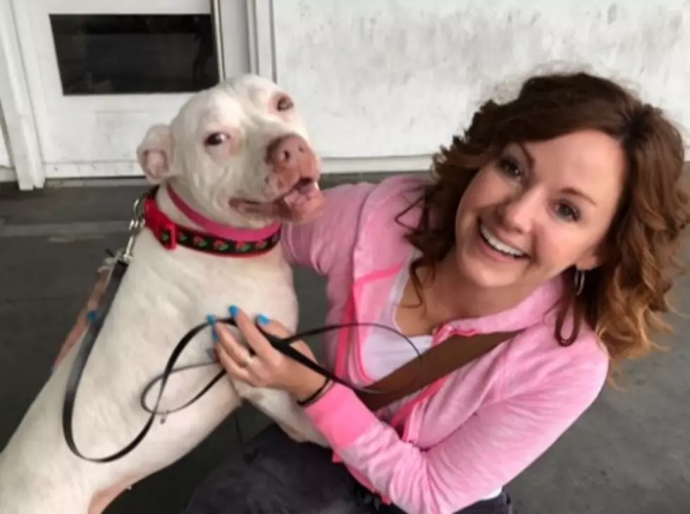 Evansville Rescue Dog Ends Up in LA Kill Shelter [UPDATE]