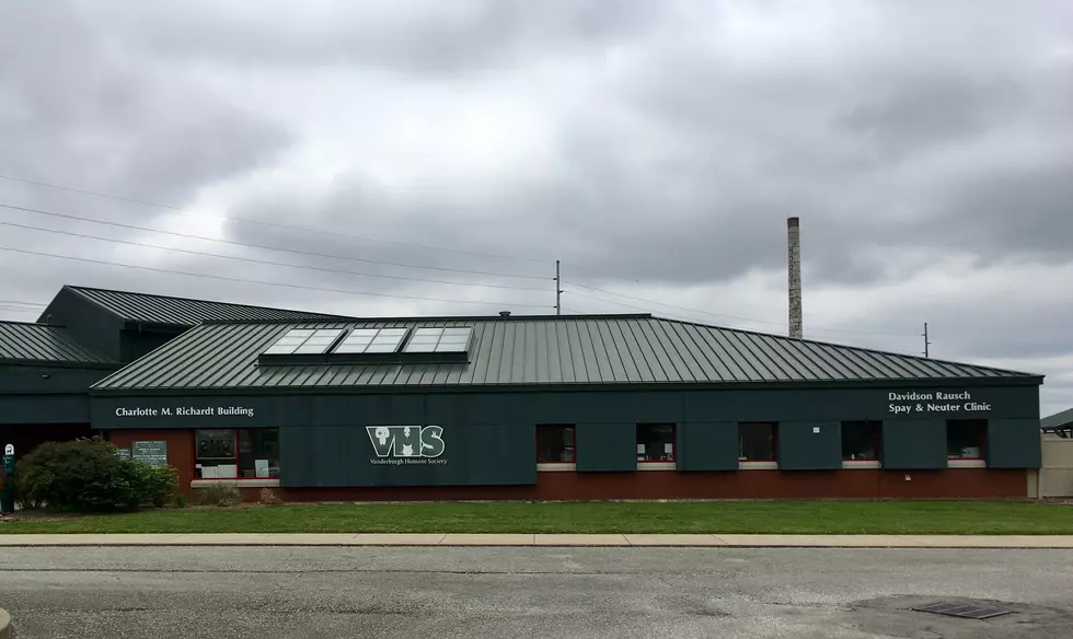 After Being Closed for 6 Weeks Vanderburgh Humane Society Reopens By Appointment