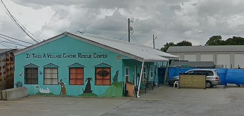 One Evansville Animal Rescue Really Needs Our Help Right Now