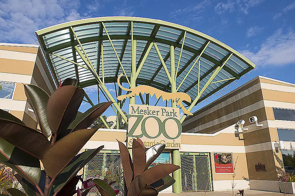 Mesker Park Zoo Reopens Indoor Exhibits With a Few New Rules