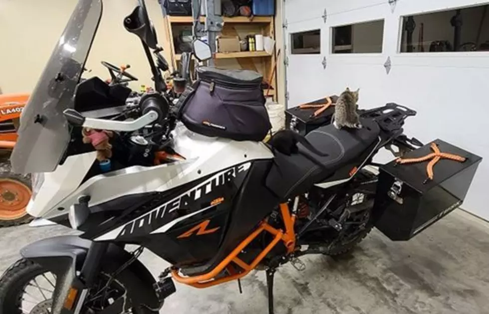 Evansville Police Need Help To ID Motorcycle Thief